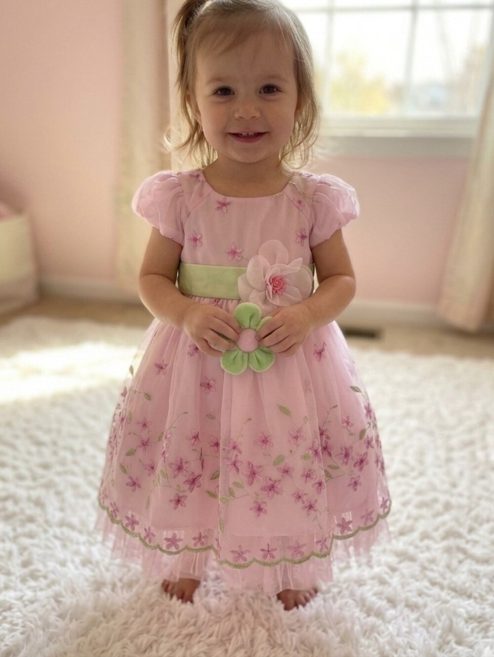 Jona Michelle Pink Green Embroidered Tulle Special Dress Floral Accents 12 Mo. - Picture 1 of 9